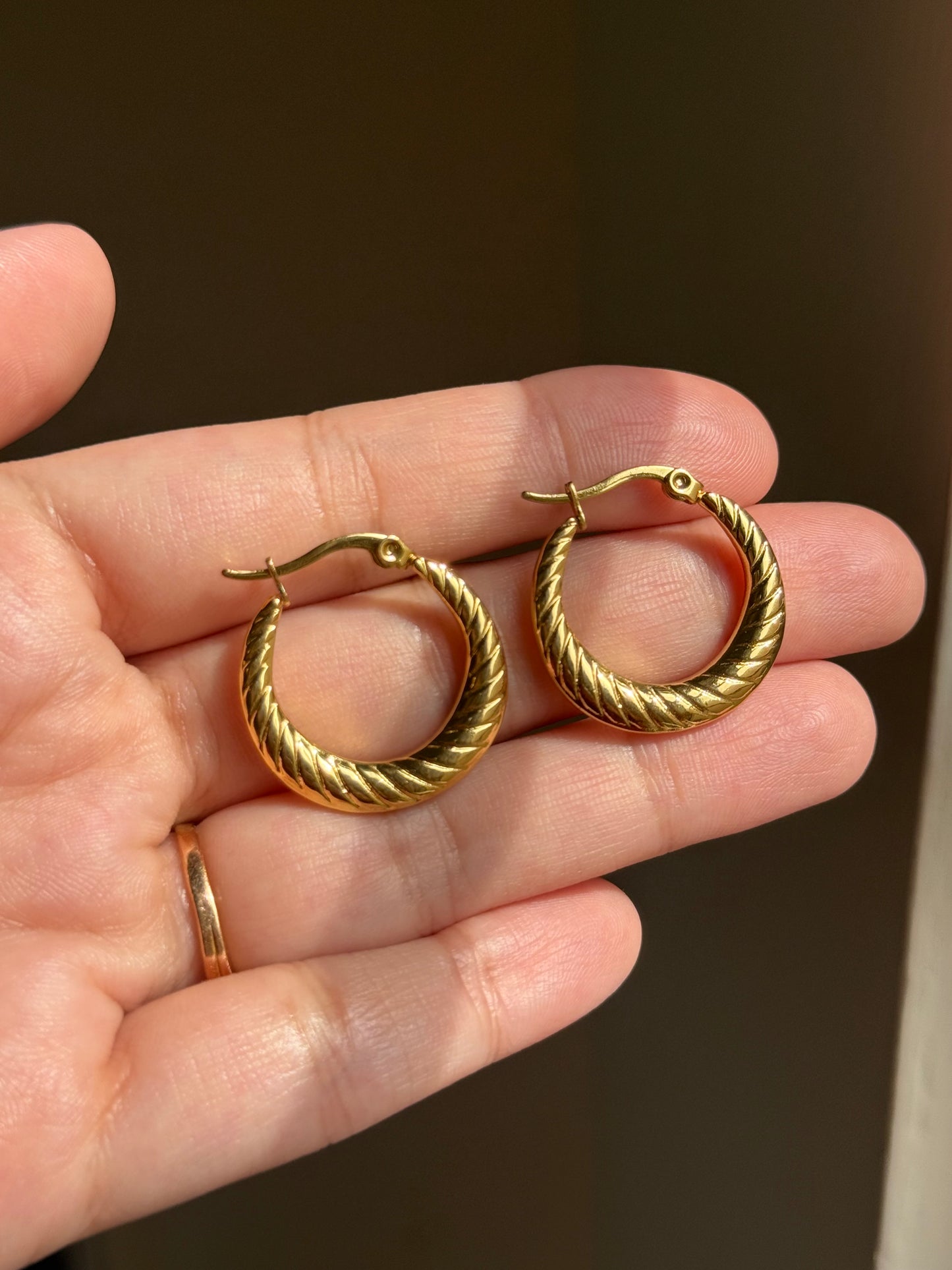 AURIENE | HOOPS